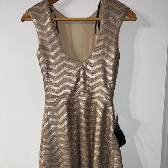 bebe Dresses & Skirts - BeBe Champagne Frosty Zig Zag Sequin Flare D Midi Dress XS NWT NEW UNWORN